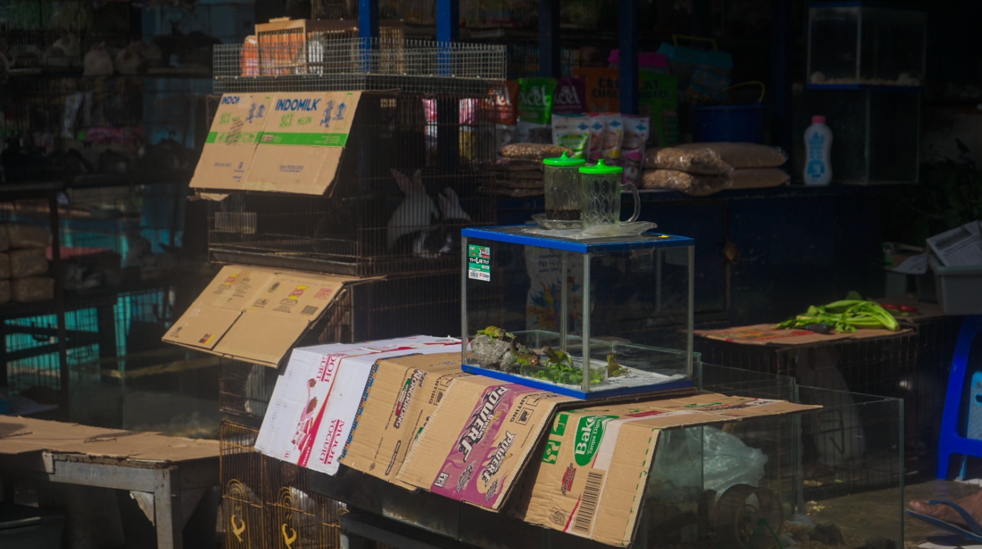 PASAR BUNGA