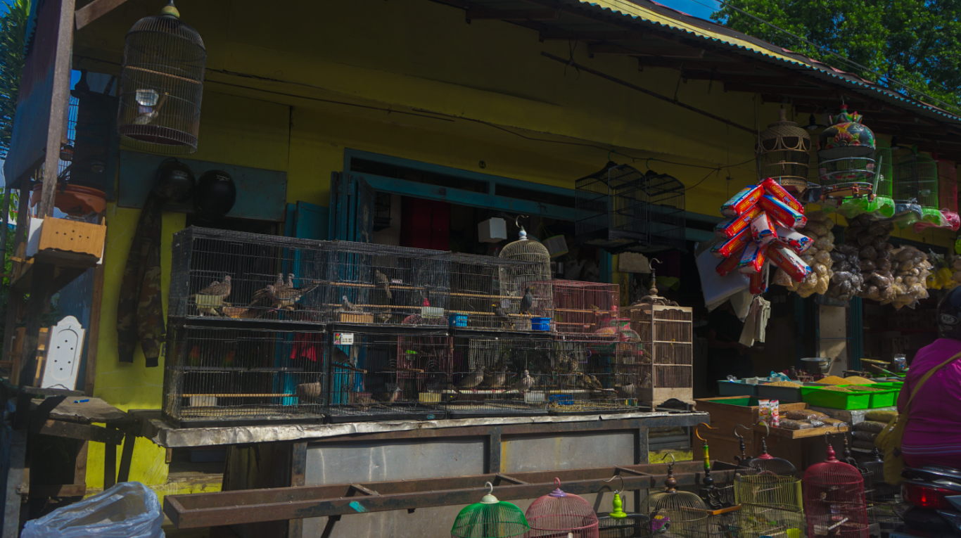 PASAR BUNGA